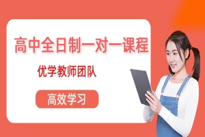高三全日制1对1
