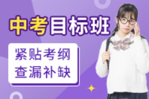 中考目标班